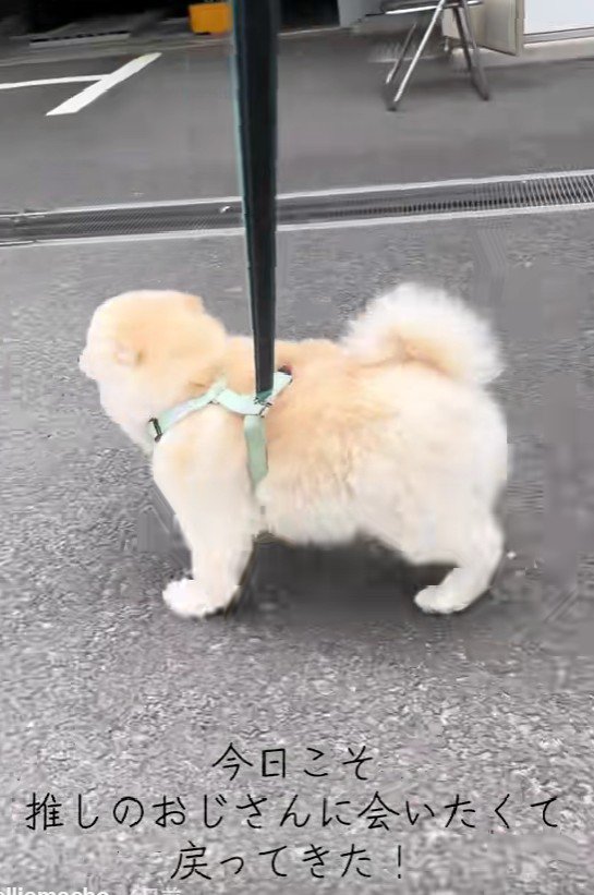 エリーちゃんがやってきたのは…