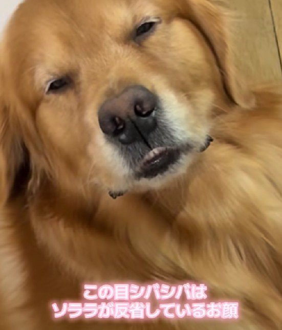 大喧嘩を丸くおさめたね