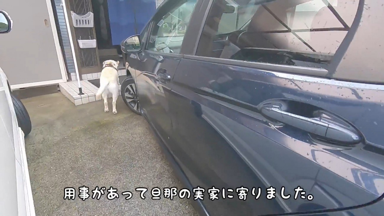ダッシュで家の中へ