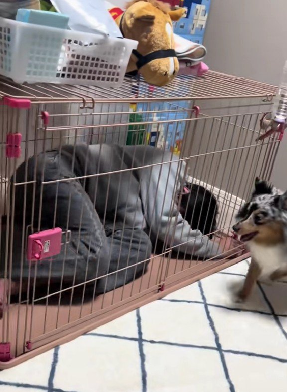 また寝てしまったパパ