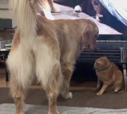 怒られることもあるけど…