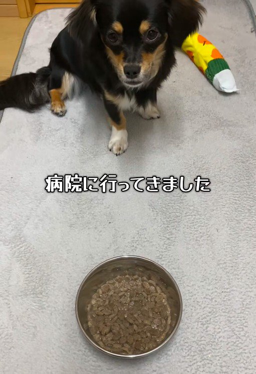 全然食べません！