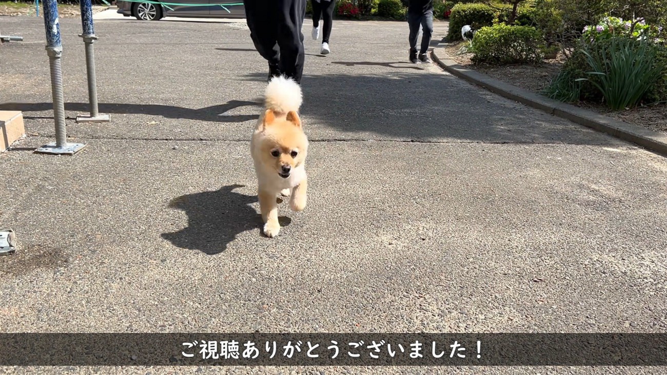 楽しそうに遊ぶ姿にほっこり♪