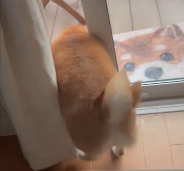 後ろ姿