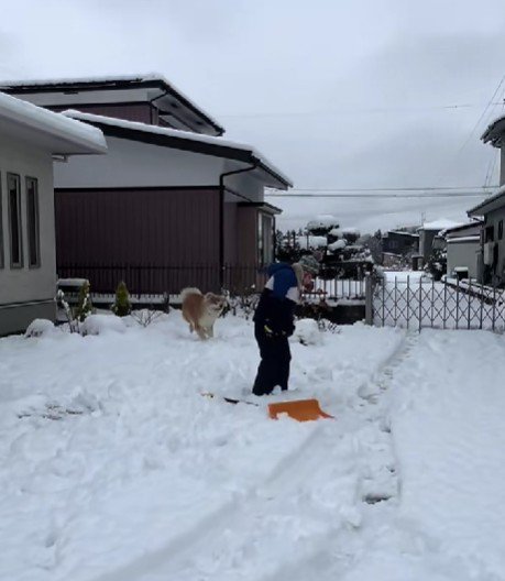 雪玉を作ったり…