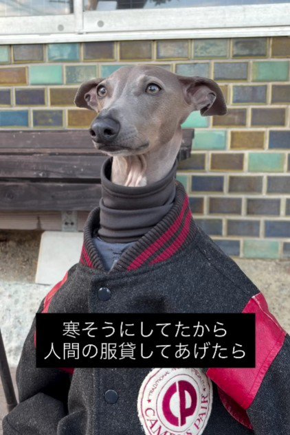 ボタンを留めてみると…