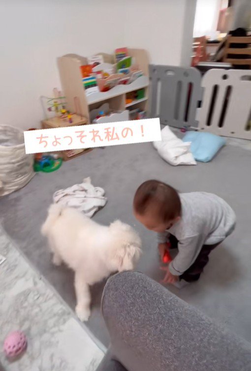 リリちゃんと赤ちゃん