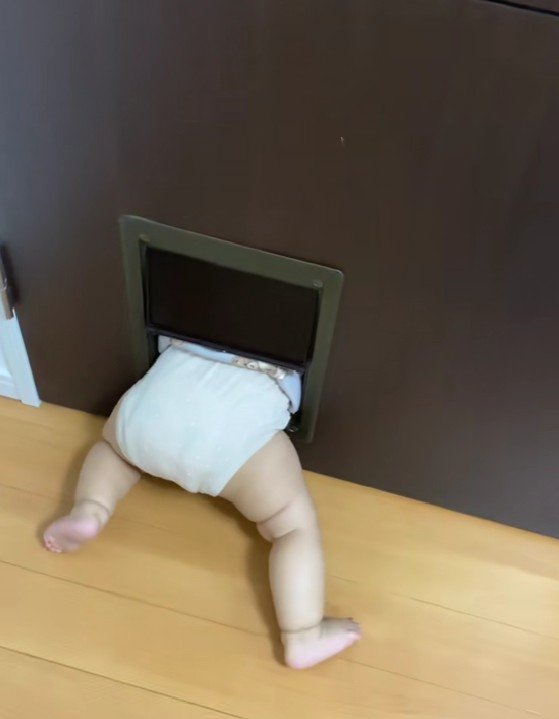 深夜に聞こえた叫び声