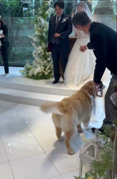 「リングを届けに来たよ！！」