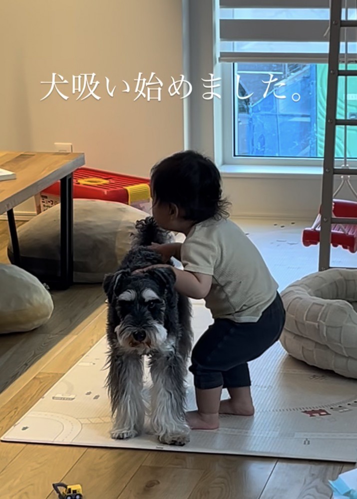 シュナウザーの背中に手を置いてしゃがむ赤ちゃん