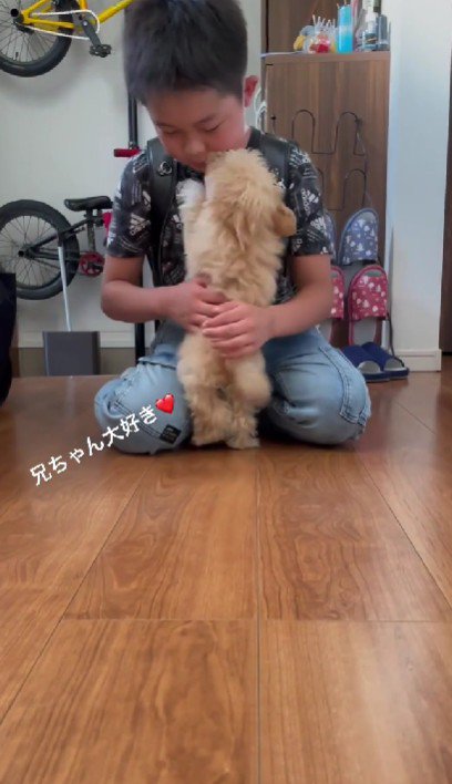 ピョンピョンと飛び跳ねます