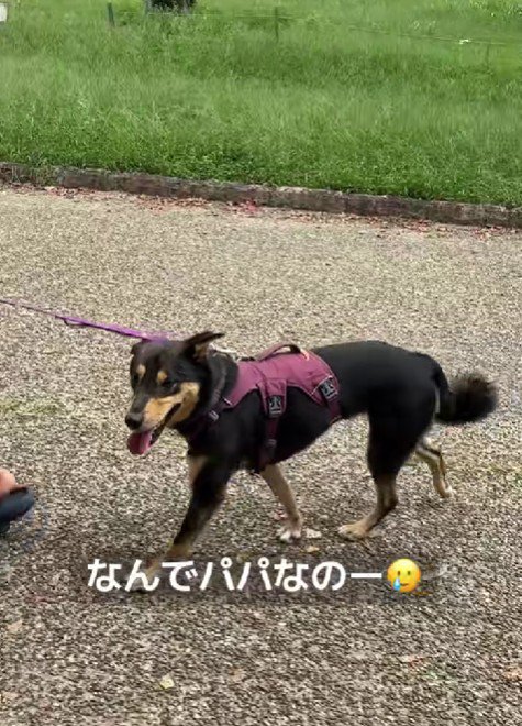 「ママがよかった…」