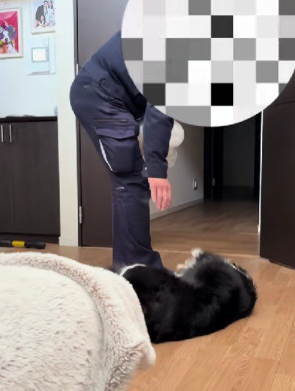 尻尾フリフリが止まらない…♪