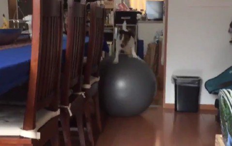 移動することも出来る！