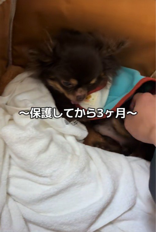 テープくんの変化