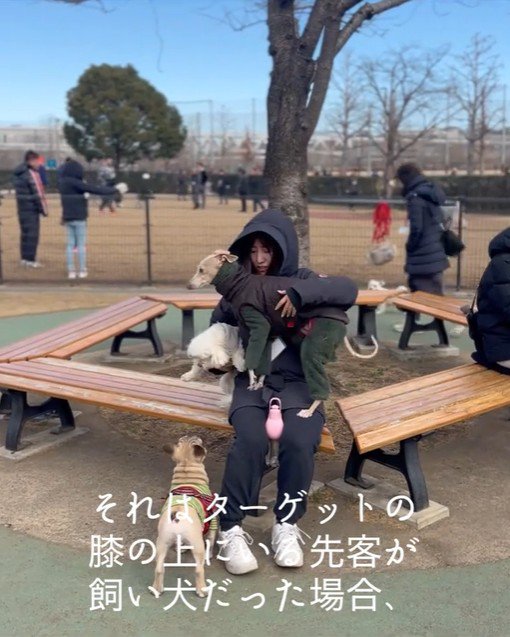 スキップ君の割り込みの手口9