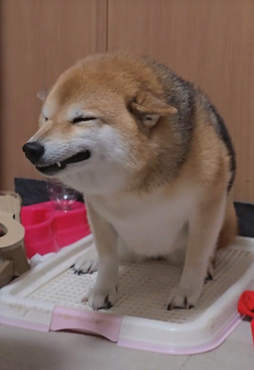 大好きな人がお家にきてニコ～ッ♡