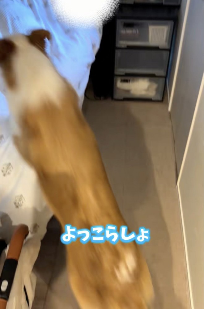 漂い始める「とりあえず」感