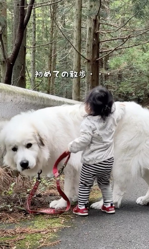 はじめての散歩へ