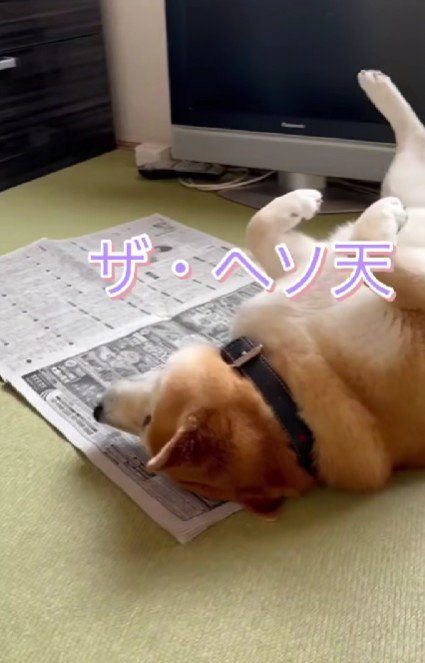 「なんて格好してんの～」