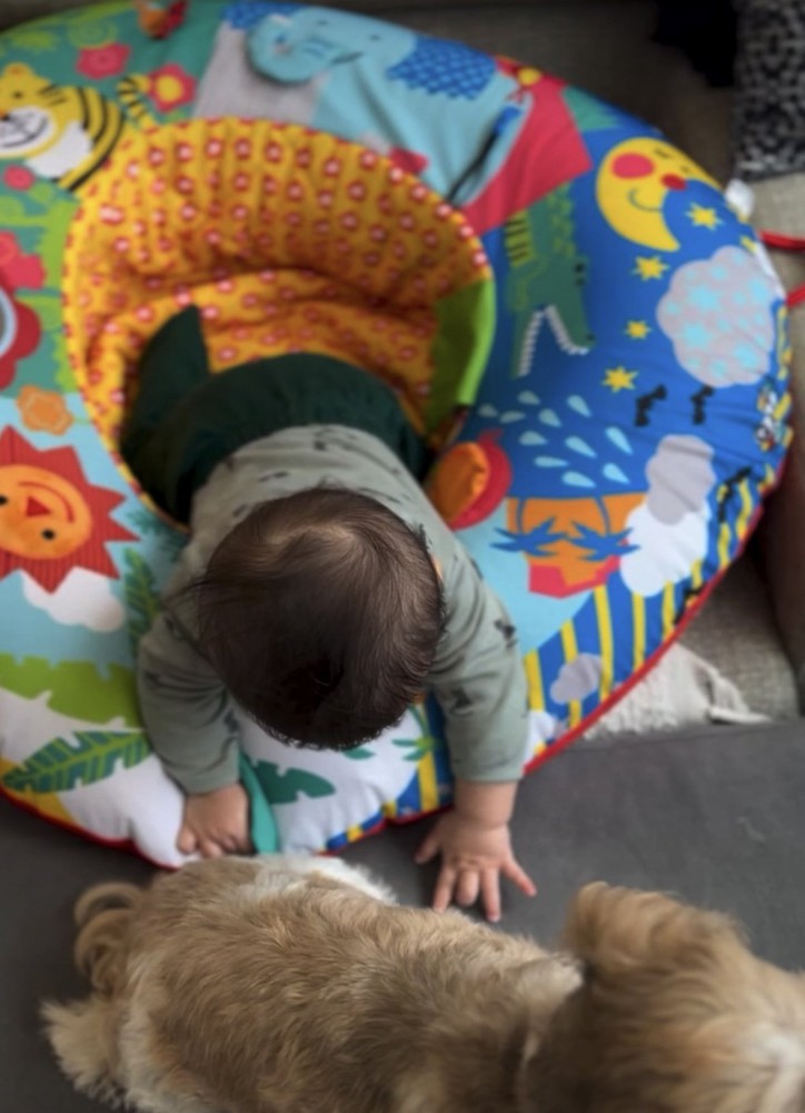 犬を撫でる赤ちゃん