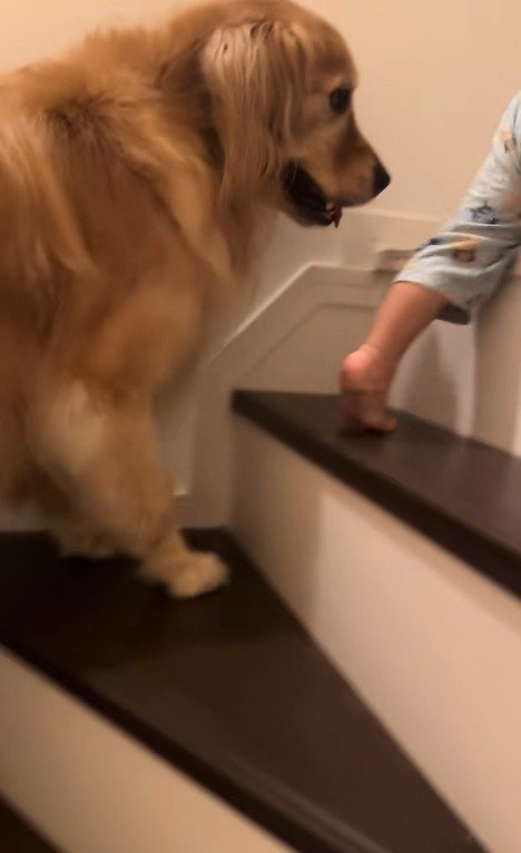 階段を登る男の子とラビーくん6