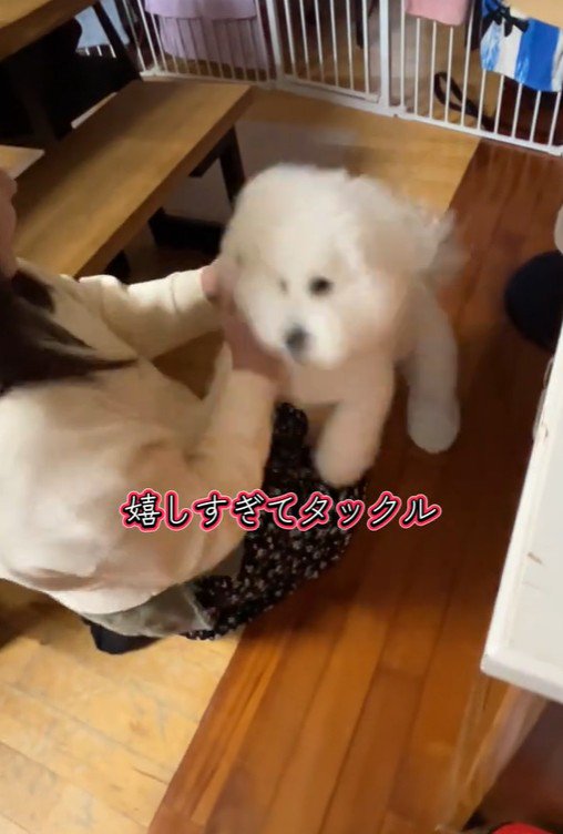 RAUくんの熱烈大歓迎6