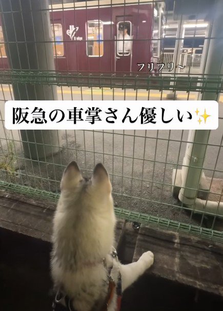 車掌さんが手を振ってくれた♡