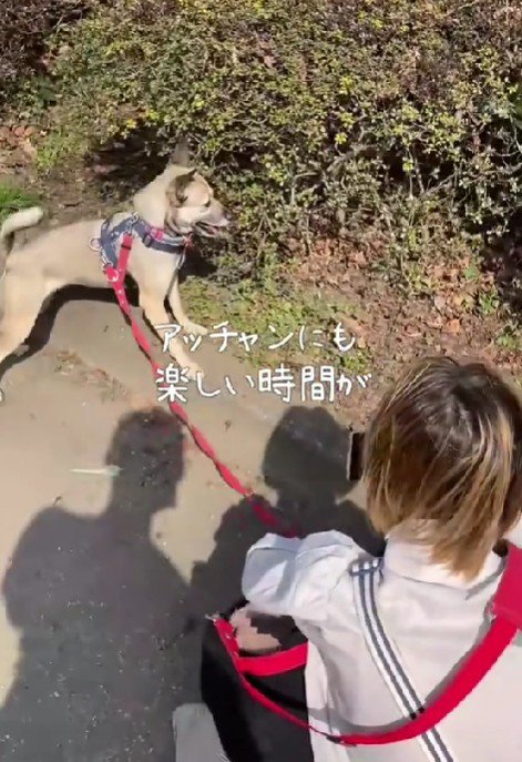 お散歩ではしゃぐ姿も♪