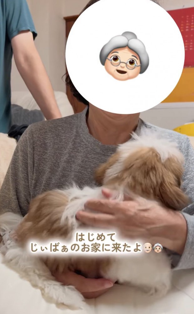 おばあちゃんの膝の上に乗る