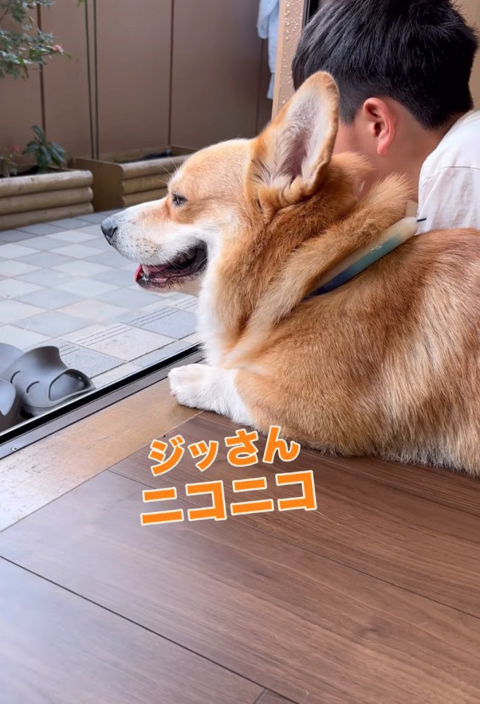 ニコニコの犬