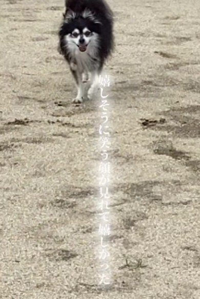 素敵な物語に感動