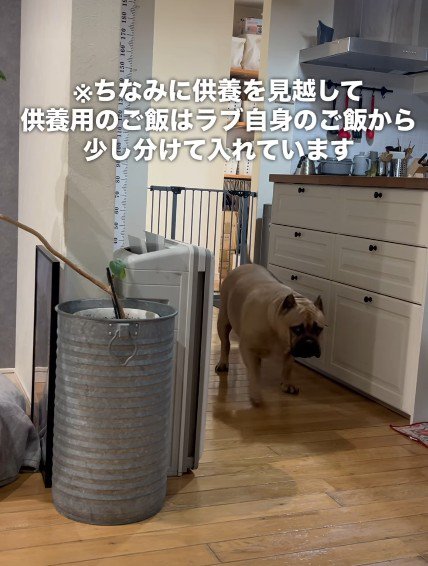 いそいそとレティちゃんの祭壇へ