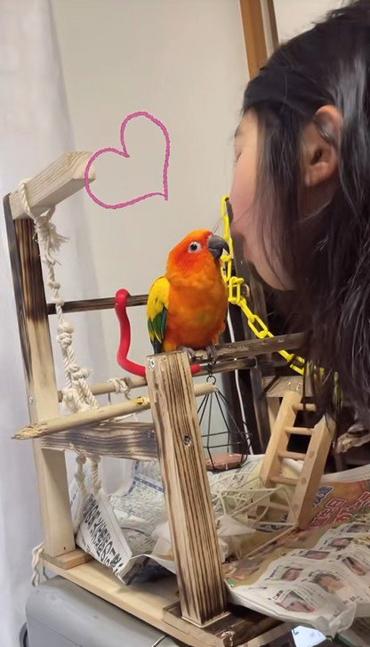 インコとチュッ♡