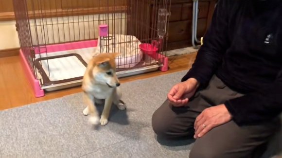 どんどん近づくみなみちゃん