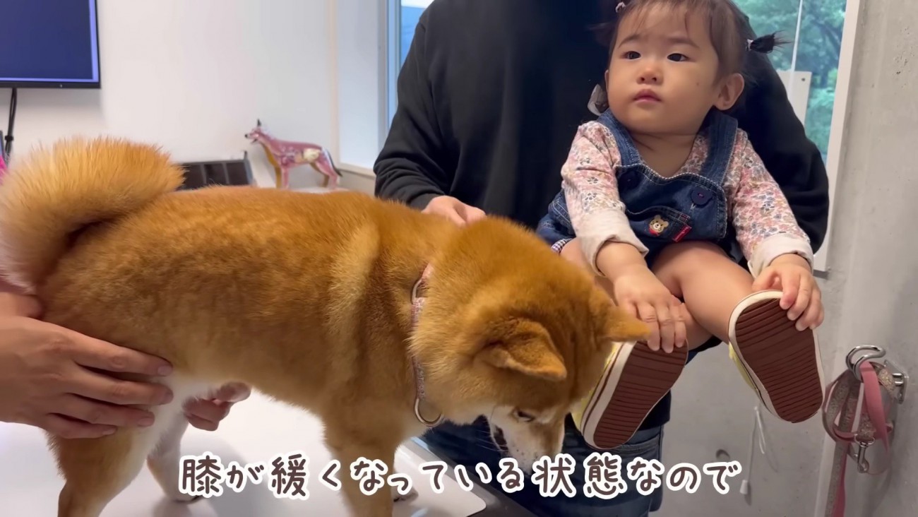 安静に過ごすよう言われた