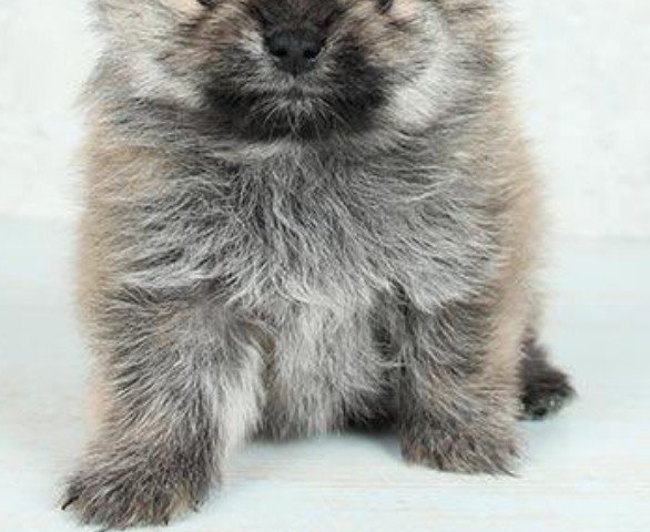 保険証の写真を見てみたら…