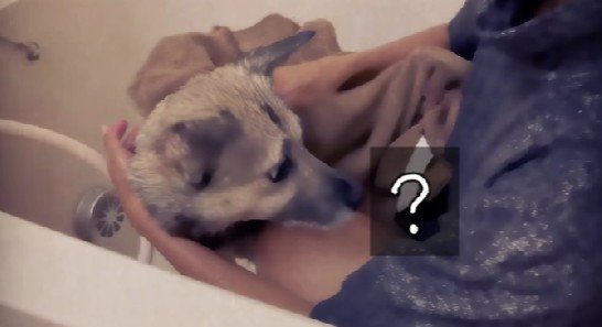 タオルで包まれたとき…