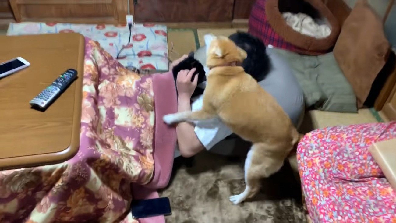 パパさんに会うと、大はしゃぎ！