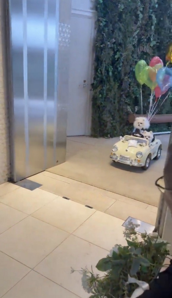 扉の奥から現れた車