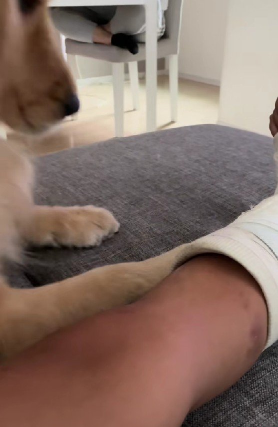 「なんなの！このニオイ！！」