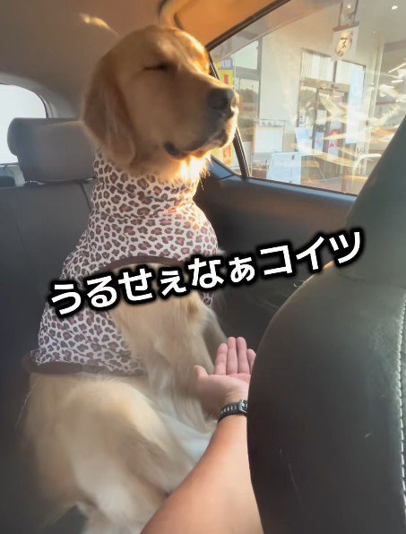 頑なに相手しない