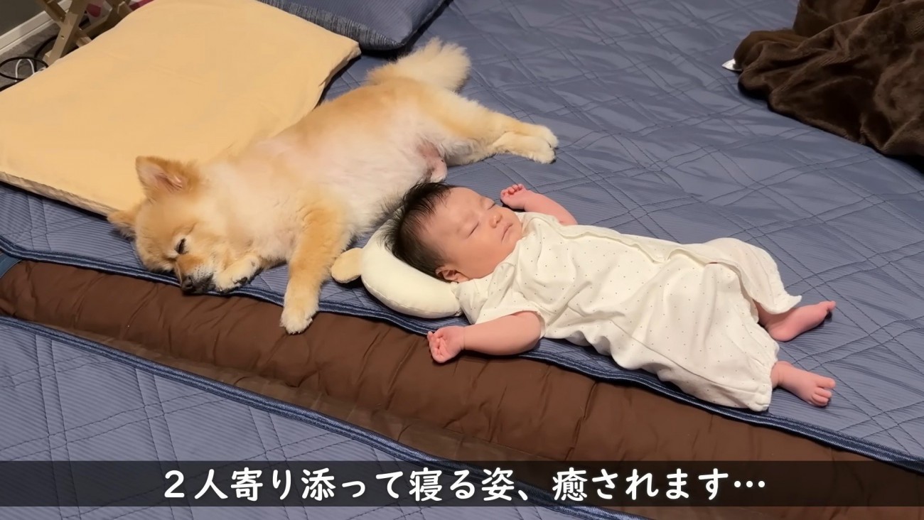 仲良く寄り添ってすやすや…♡