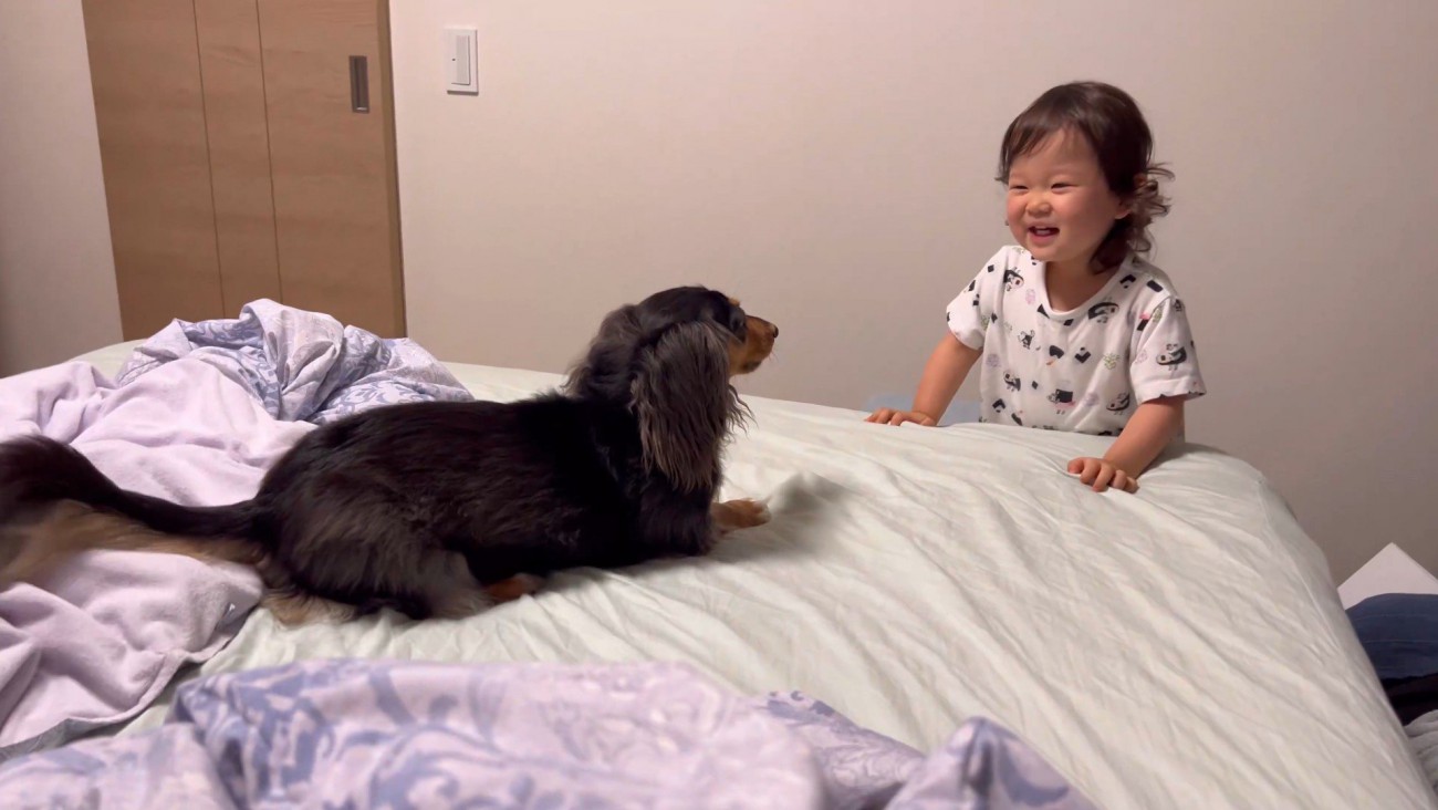 無邪気にじゃれあったり…