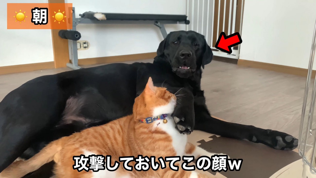 なぜか被害者面（笑）