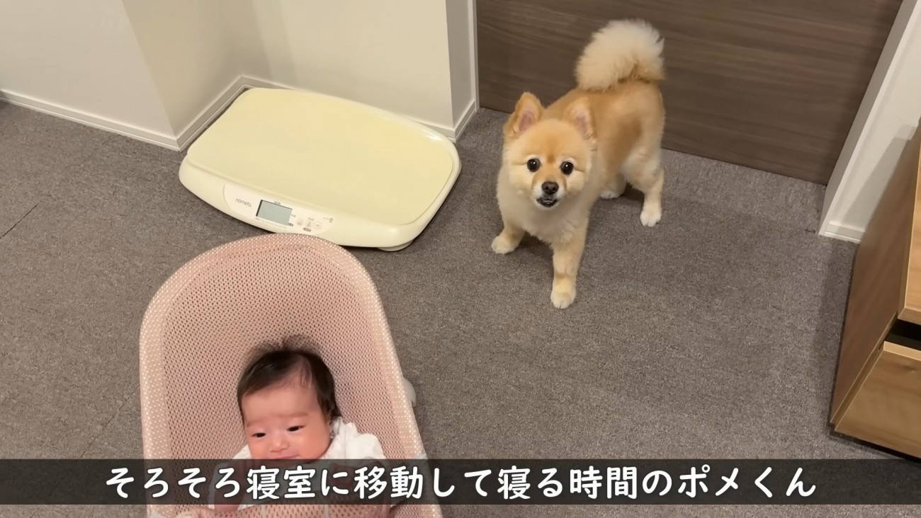 「僕、そろそろ寝ます！」