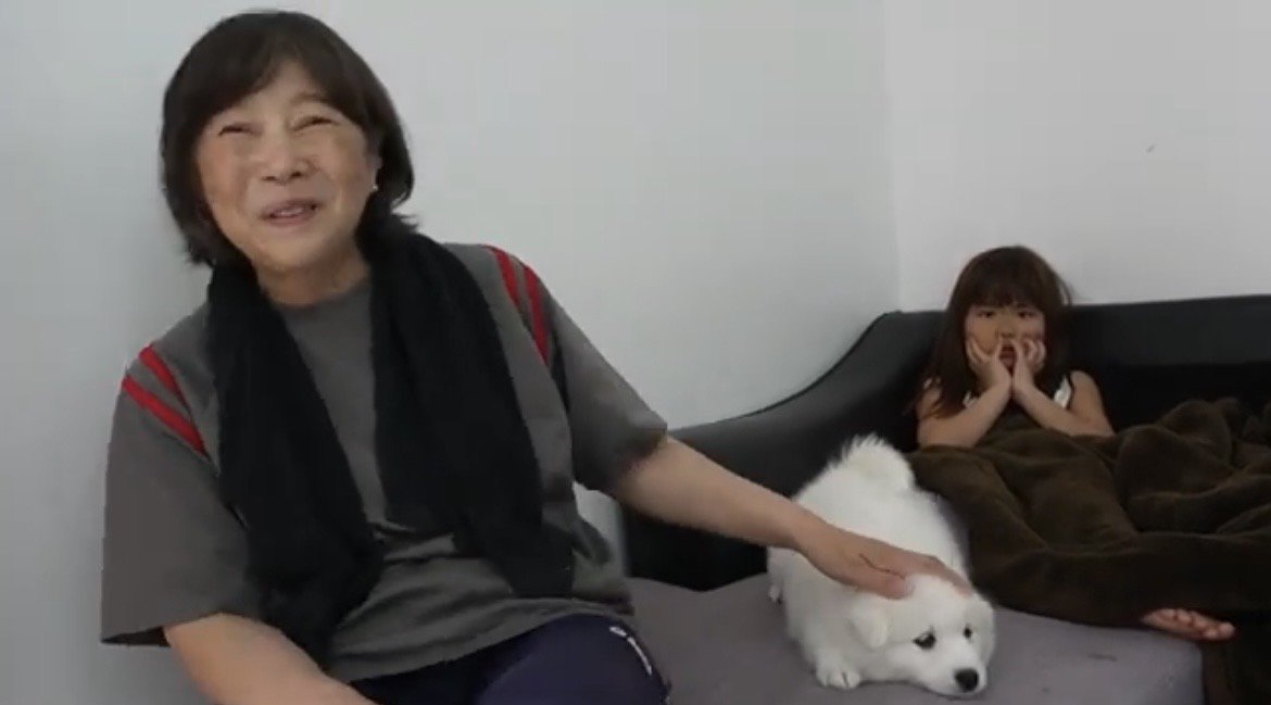 子犬の頭を撫でる女性