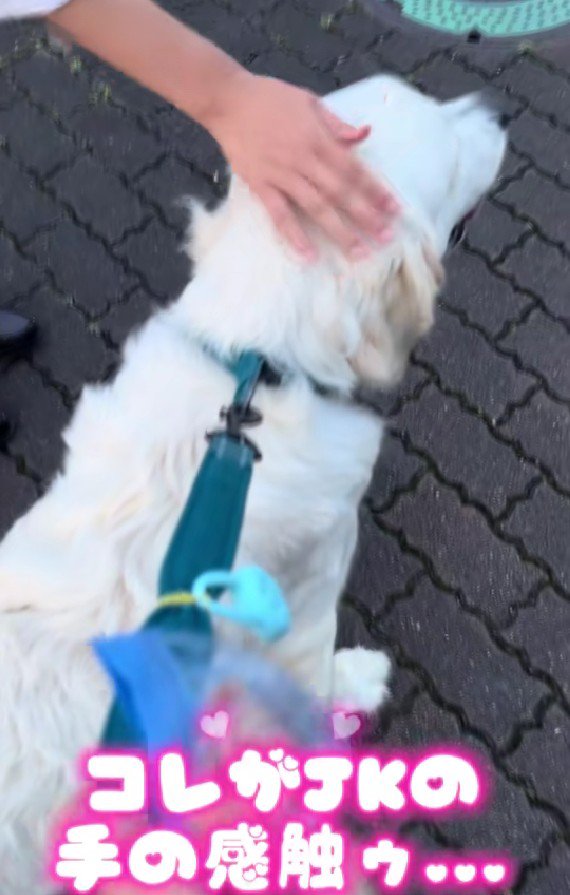 手の感触を満喫♡