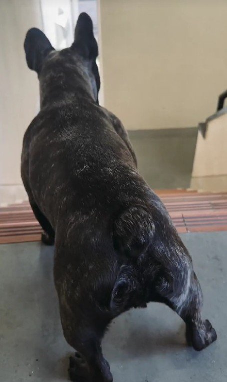 嬉しすぎて震えちゃう