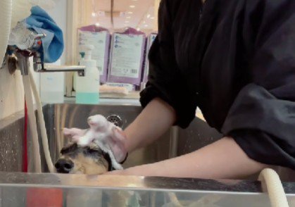 シャンプー中に寝ちゃった！